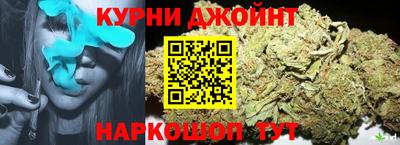 jwh Бийск