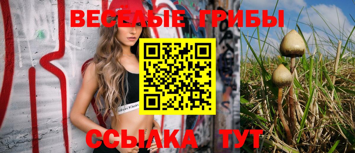 Карачаевск  Галлюциногенные грибы мицелий  Вход с VPN 