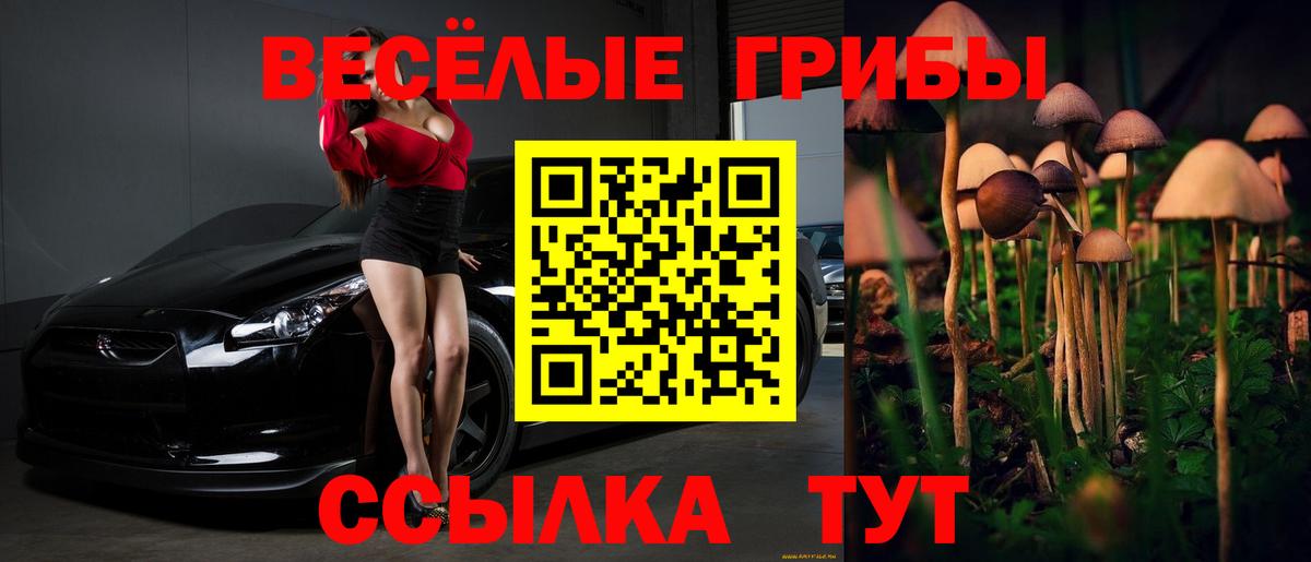 Галлюциногенные грибы Cubensis Карачаевск